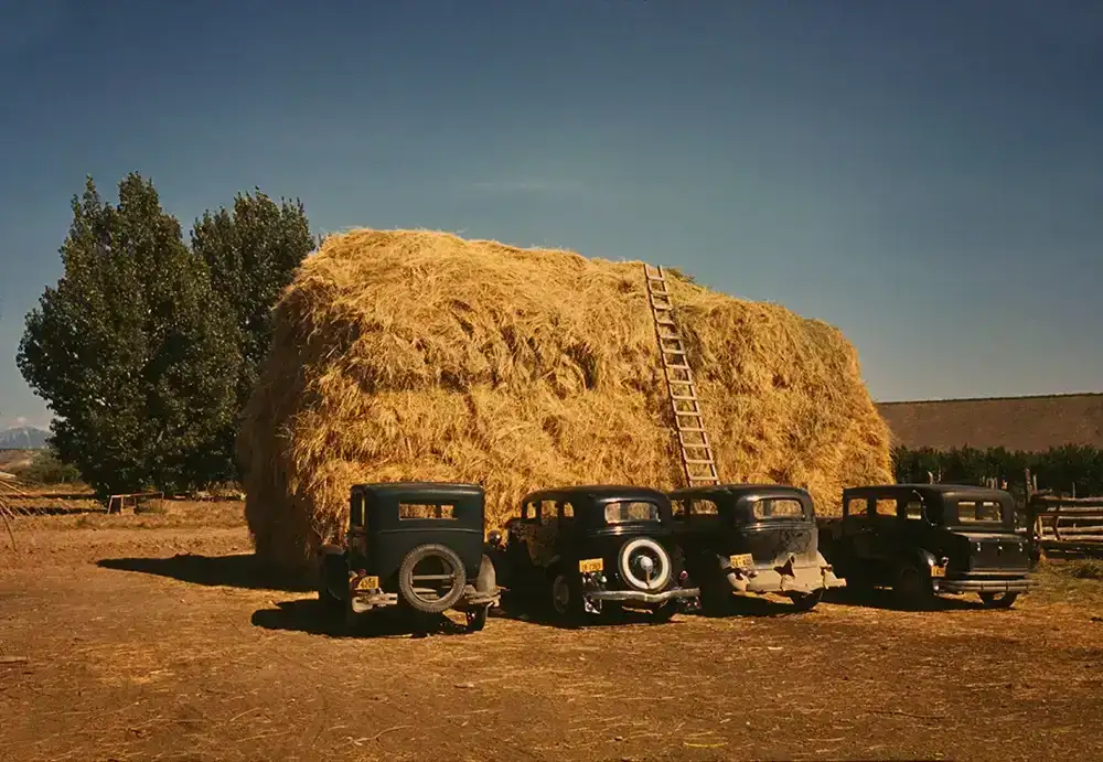 Image of Hay stack and automobile of peach pickers, Delta County, Colorado