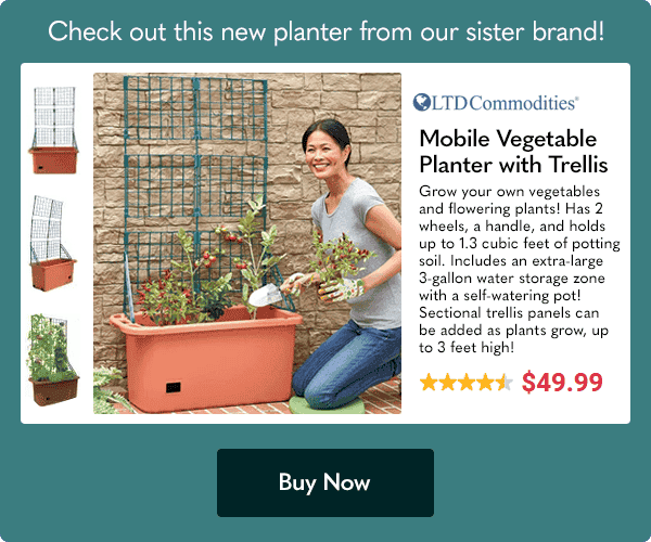 Check out this new planter from our sister brand LTD Commodities