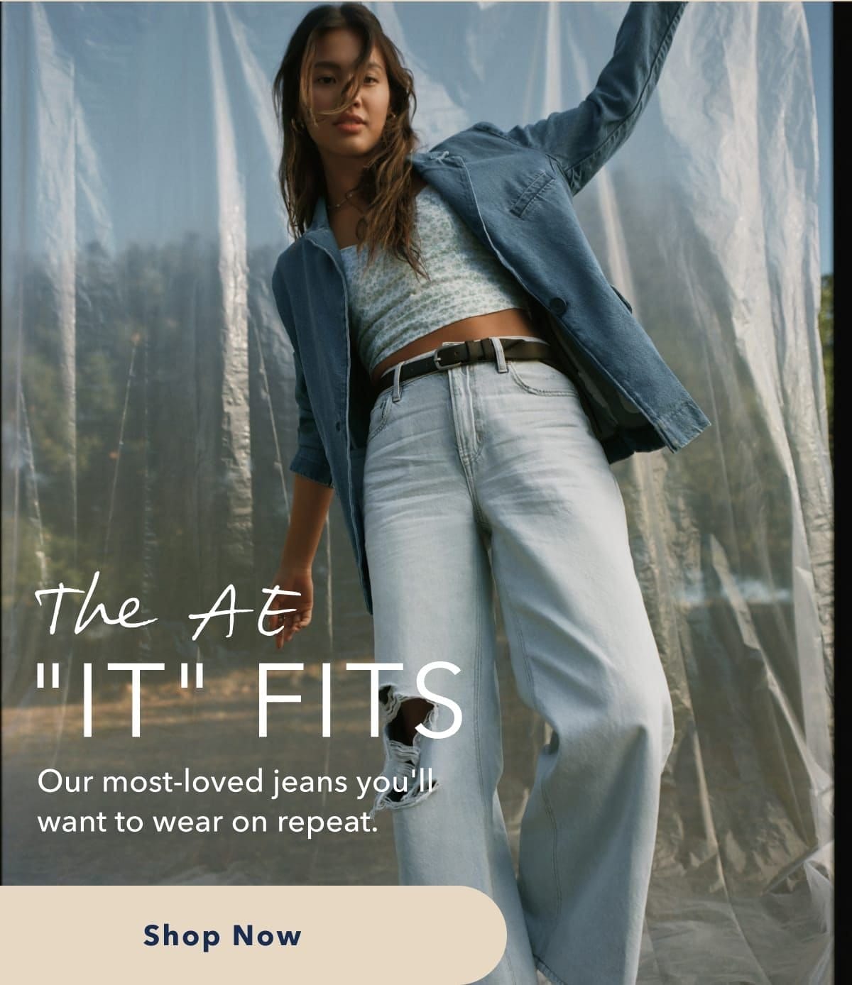 THE AE ''IT'' FITS | Our most-loved jeans you'll want to wear on repeat. Shop Now