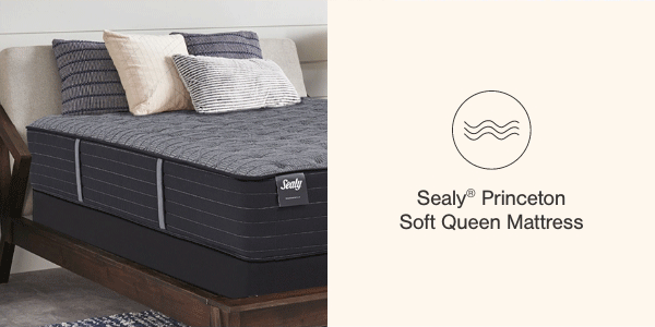 Sealy Princeton Soft Queen Mattress