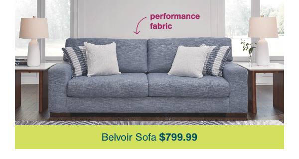 Performance Fabric Belvoir Sofa \\$799.99