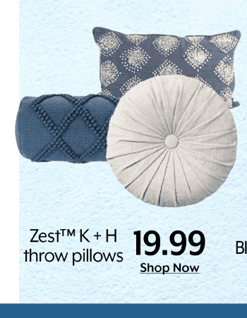 19.99 Zest throw pillows