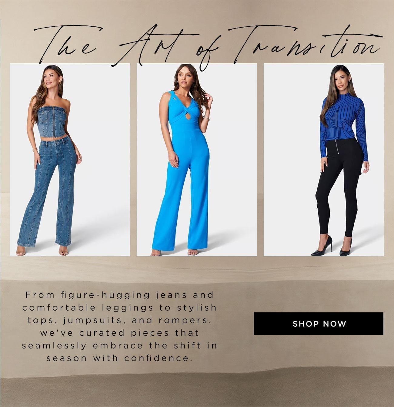 The Art of Transition | Shop Now