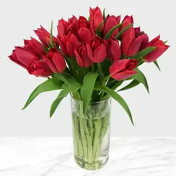 Red Tulips Arrangement