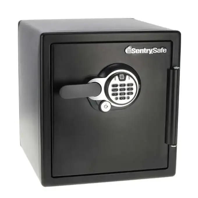 SentrySafe 1.23 cu. ft. Steel Fireproof and Waterproof Home Safe with Biometric Lock