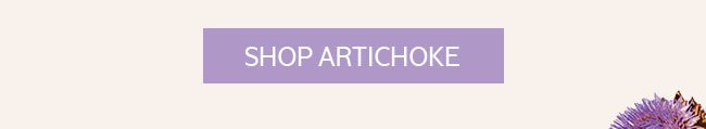 SHOP ARTICHOKE