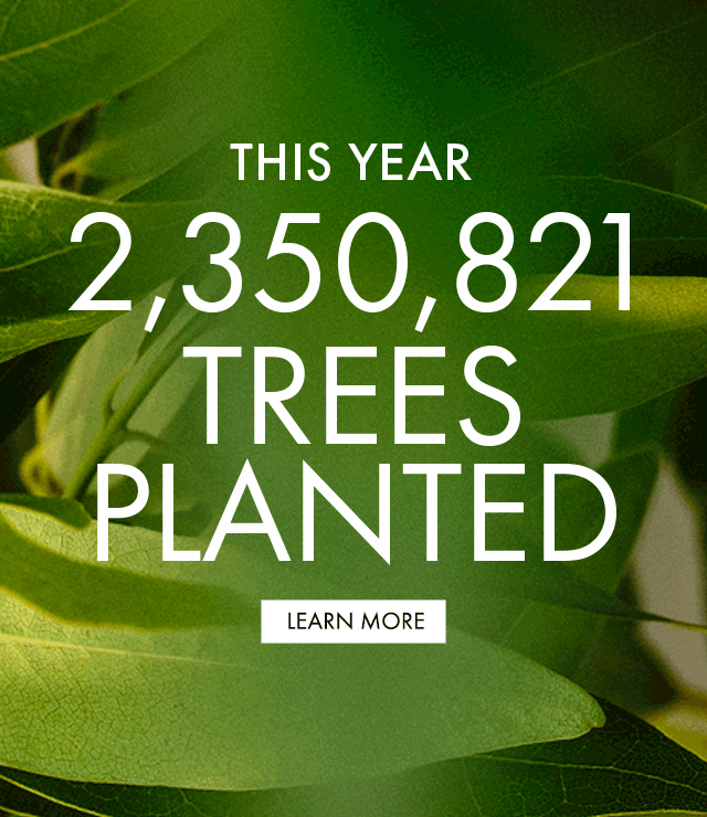 SINCE 2009 | 1,908,315 TREES PLANTED | LEARN MORE
