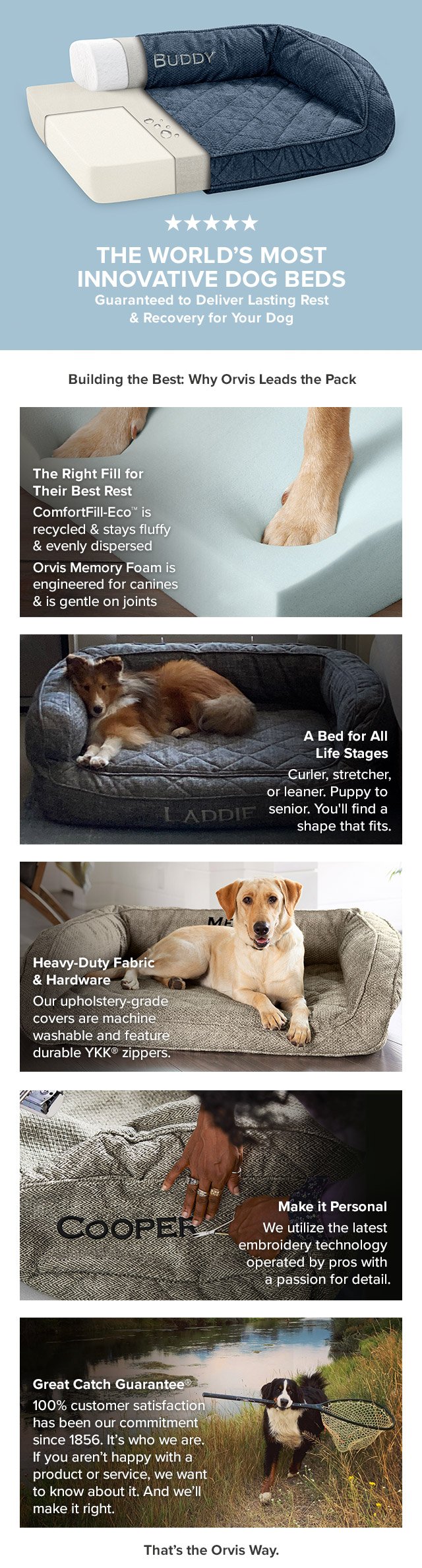 ☆☆☆☆☆ The World's Most Innovative Dog Beds Guaranteed to Deliver Lasting Rest & Recovery for Your Dog Building the Best: Why Orvis Leads the Pack The RIght Fill for Their Best Rest ComfortFill-Eco™ is recycled & stays fluffy & evenly dispersed Orvis Memory Foam is engineered for canines & is gentle on joints How Does Your Dog Sleep? Curler, stretcher, or leaner. Puppy to senior. You'll find a shape that fits. Heavy-Duty Fabric & Hardware Our upholstery-grade covers are machine washable and feature durable YKK® zippers. Make it Personal We utilize the latest embroidery technology operated by pros with a passion for detail. Great Catch Guarantee® 100% customer satisfaction has been our commitment since 1856. It’s who we are. If you aren’t happy with a product or service, we want to know about it. And we’ll make it right. That’s the Orvis Way.