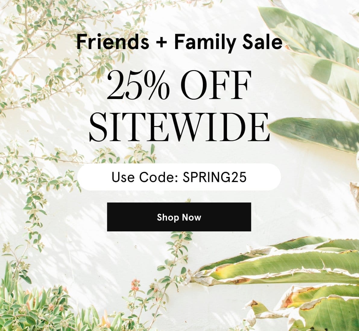 Friends + Family Sale