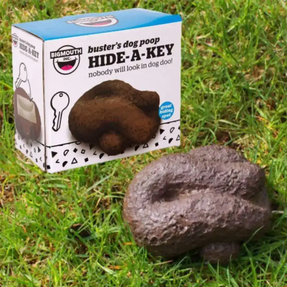 Busters Hide A Key Dog Poop