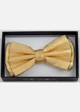 Metallic Bow Tie