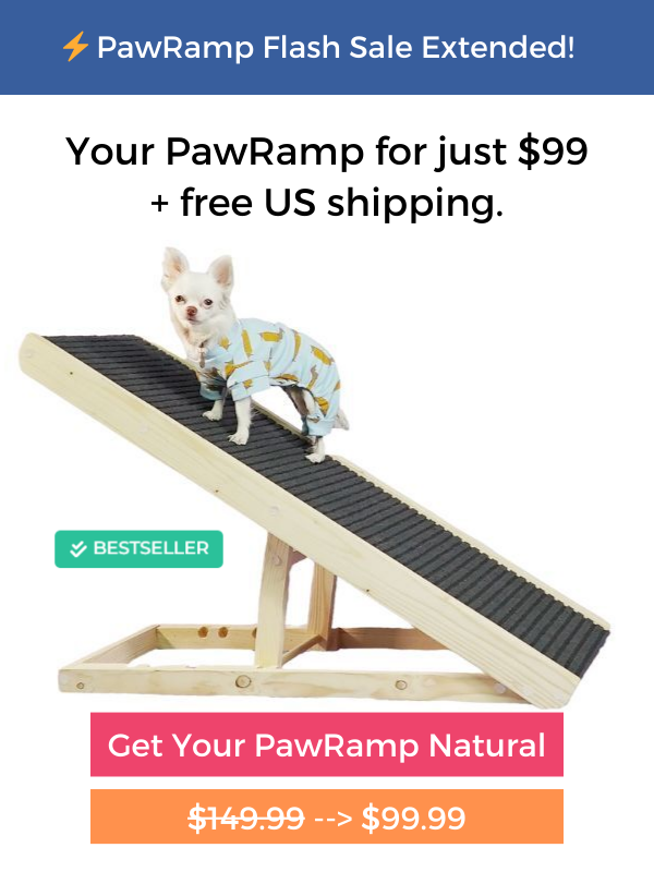 PawRamp