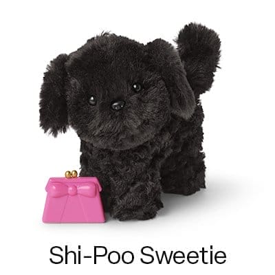 CB1: Shi-Poo Sweetie