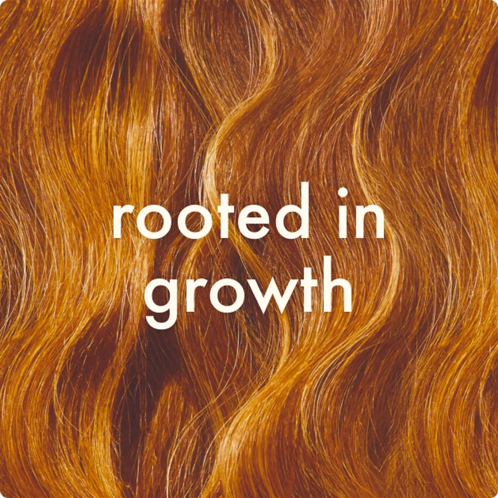 rooted in growth