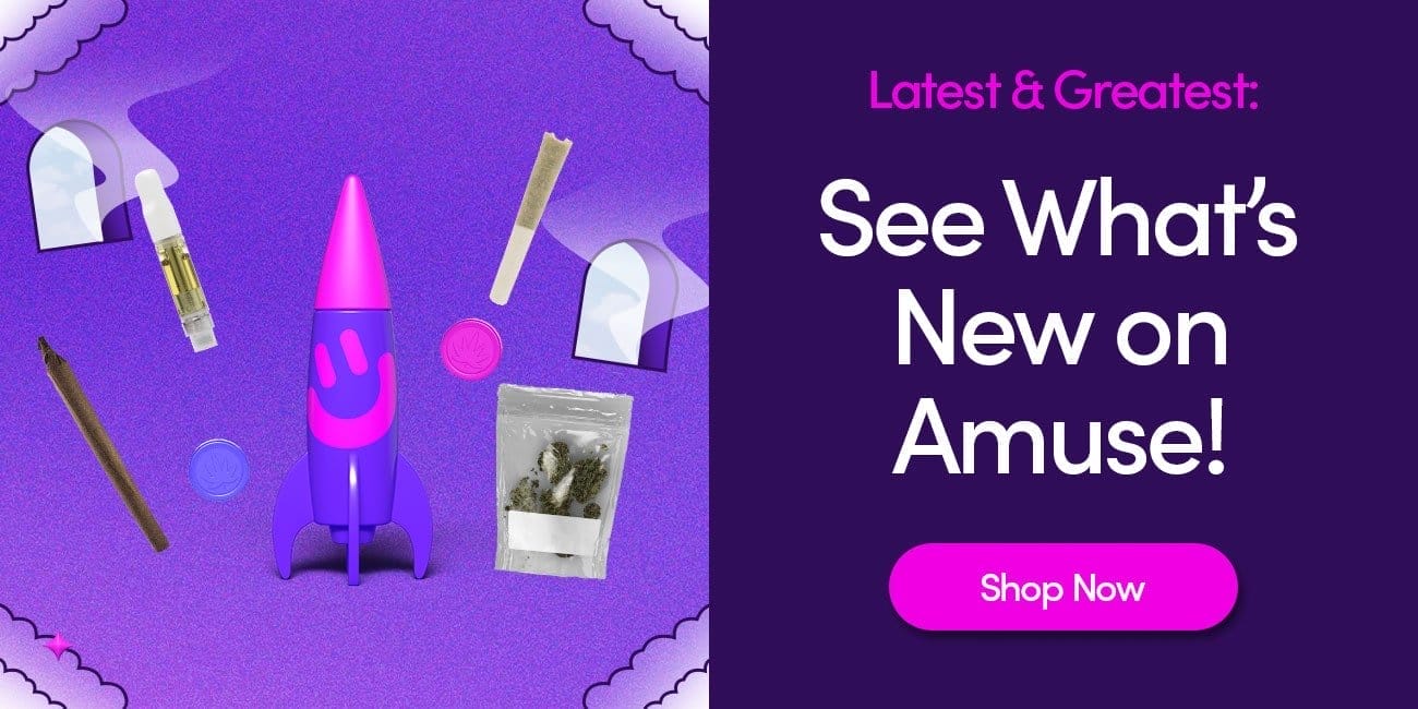 See What's New on Amuse!