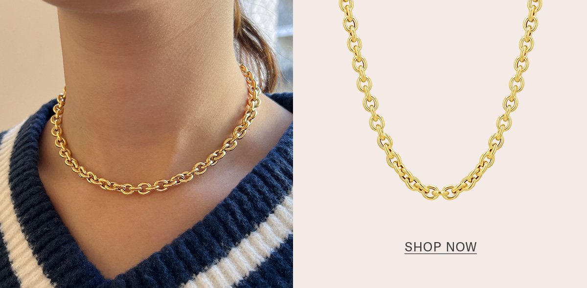 Tres Chic Chain Necklace