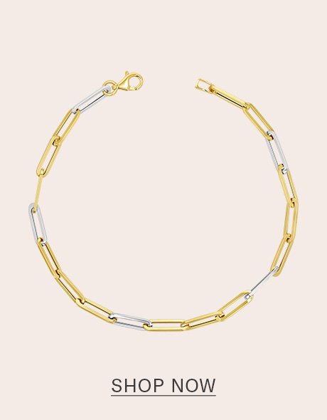 TWO-TONE PAPER CLIP CHAIN BRACELET