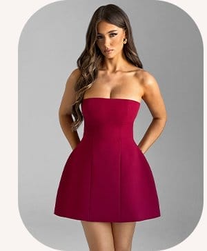 Asha Mini Dress - Wine