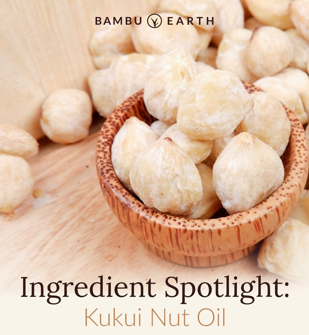 Ingredient Spotlight: Kukui Nut Oil
