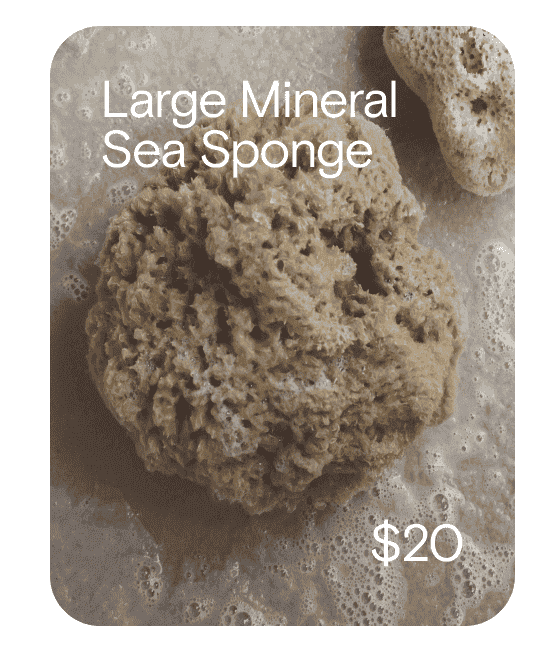 Large Mineral Sea Sponge