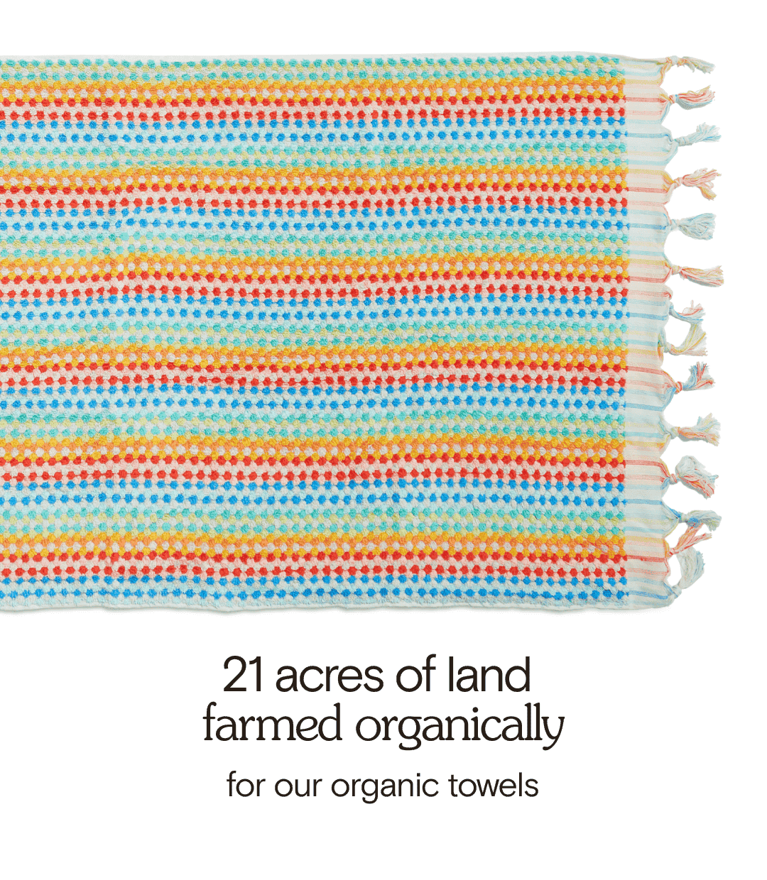 21 acres of land farmed organically for our organic towels