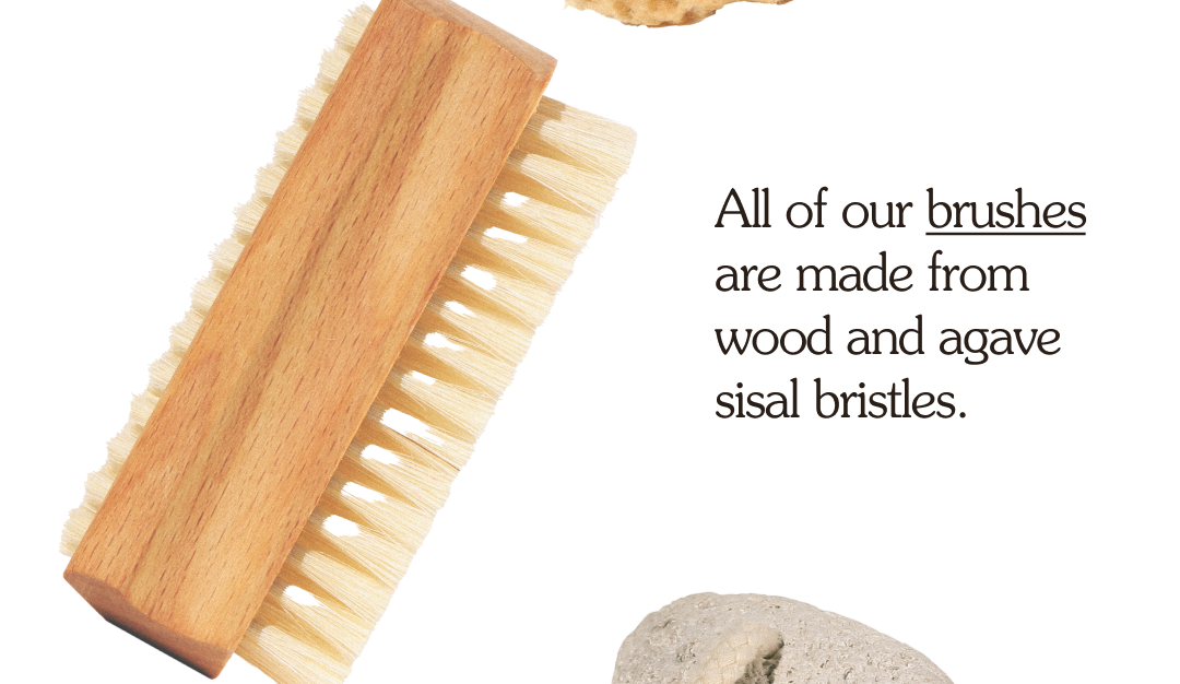 All of our brushes are made from wood and agave sisal bristles.