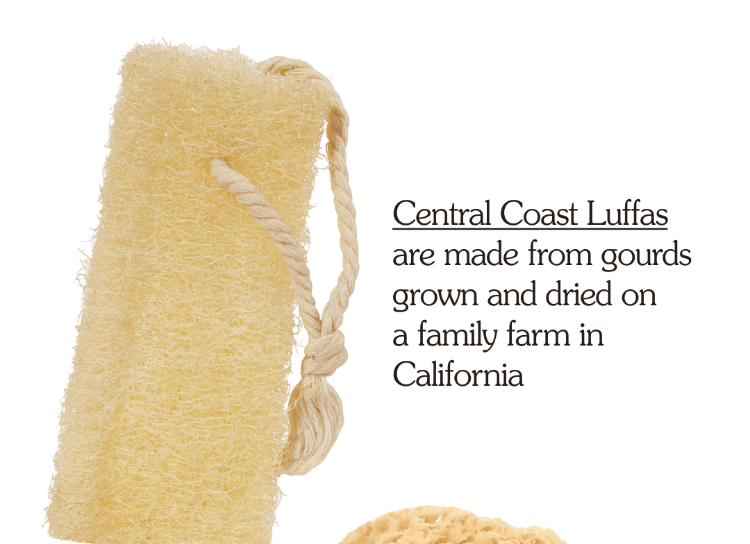 Central Coast Luffas are made from gourds grown and dried on  a family farm in California