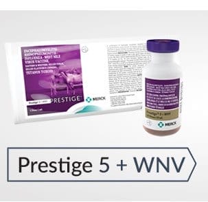 Prestige 5 plus wnv vaccine