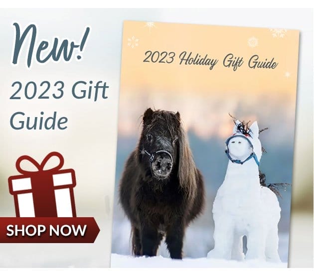 2023 holiday gift guide - shop now