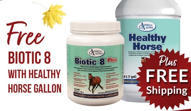 Healthy horse solution - free biotic 8 with purchase