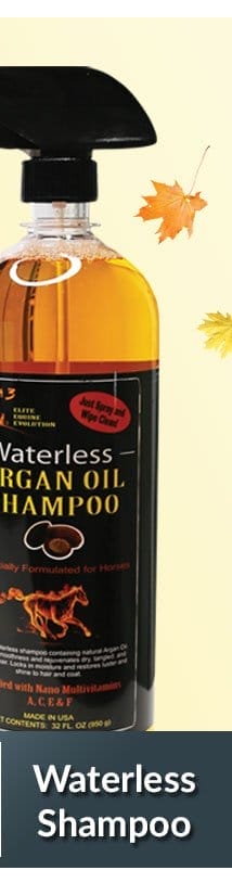 Argan oil waterless shampoo sale