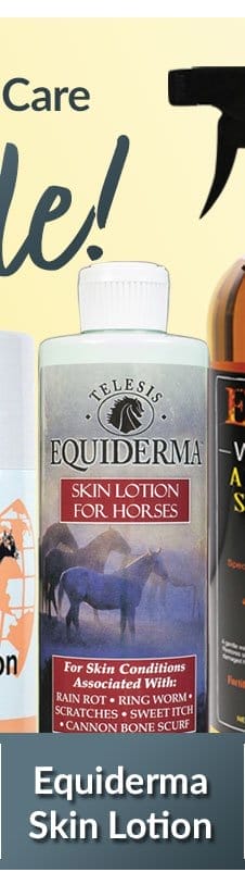 Equiderma skin lotion sale