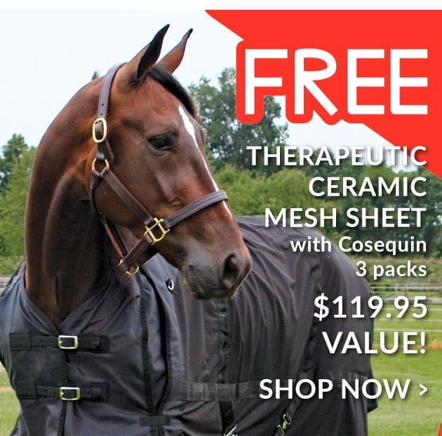 Free ceramic mesh sheet with cosequin 3 packs