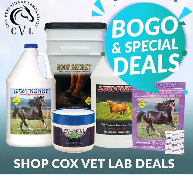 Cox vet lab deals