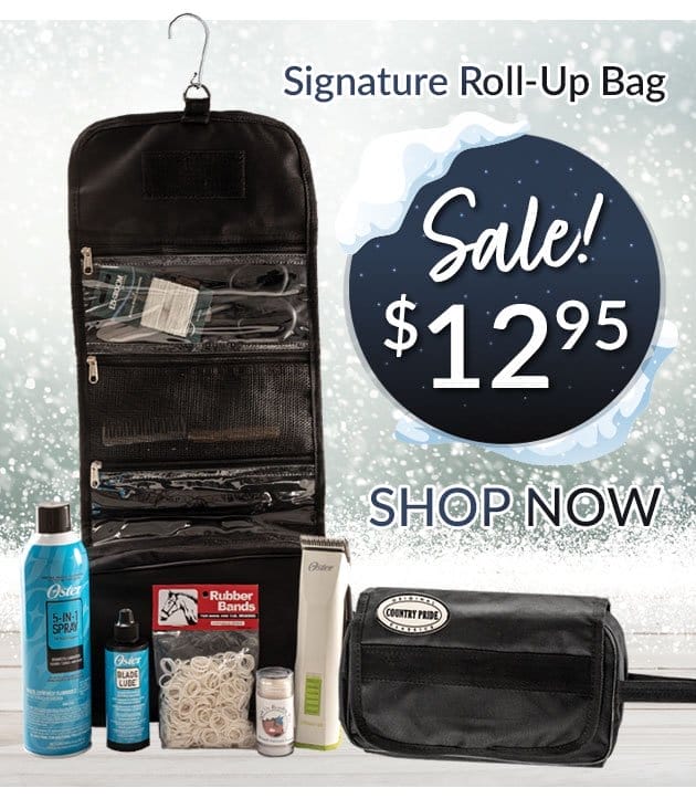 Roll up accessory bag sale