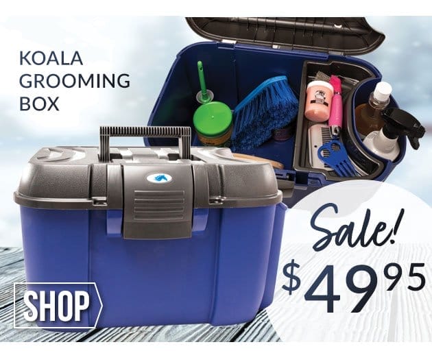 Koala Grooming box sale