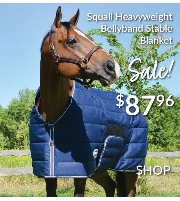 Squall stable blanket sale