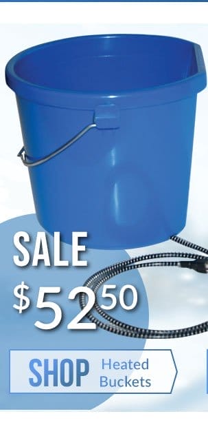 Heated water bucket sale