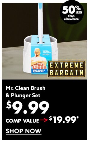 Mr. Clean Brush & Plunger set 