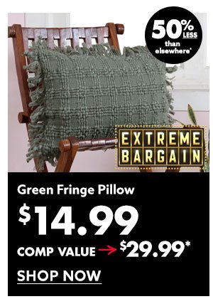 Green Fringe Pillow