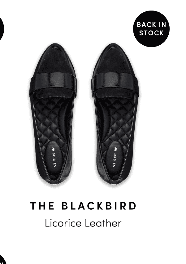 Blackbird in Licorice Leather