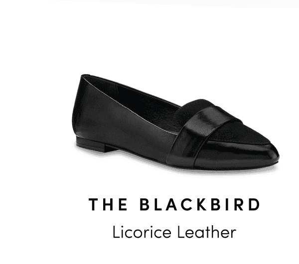 Blackbird in Licorice Leather