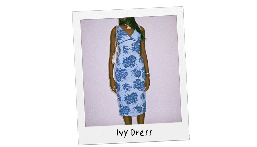 Ivy Dress in La Bamba