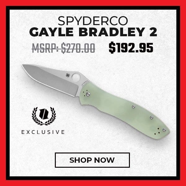 Spyderco Gayle Bradley 2