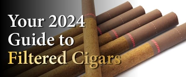 Your 2024 Guide to Filtered Cigars