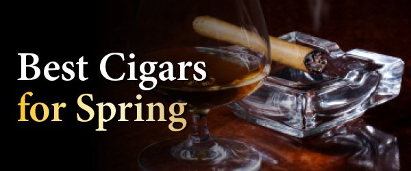 Spring is in the Air Here at Bnb Tobacco: Best 2024 Cigars for the Springtime Season!