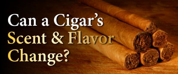 Can a Premium Cigar’s Scent and Flavor Change?