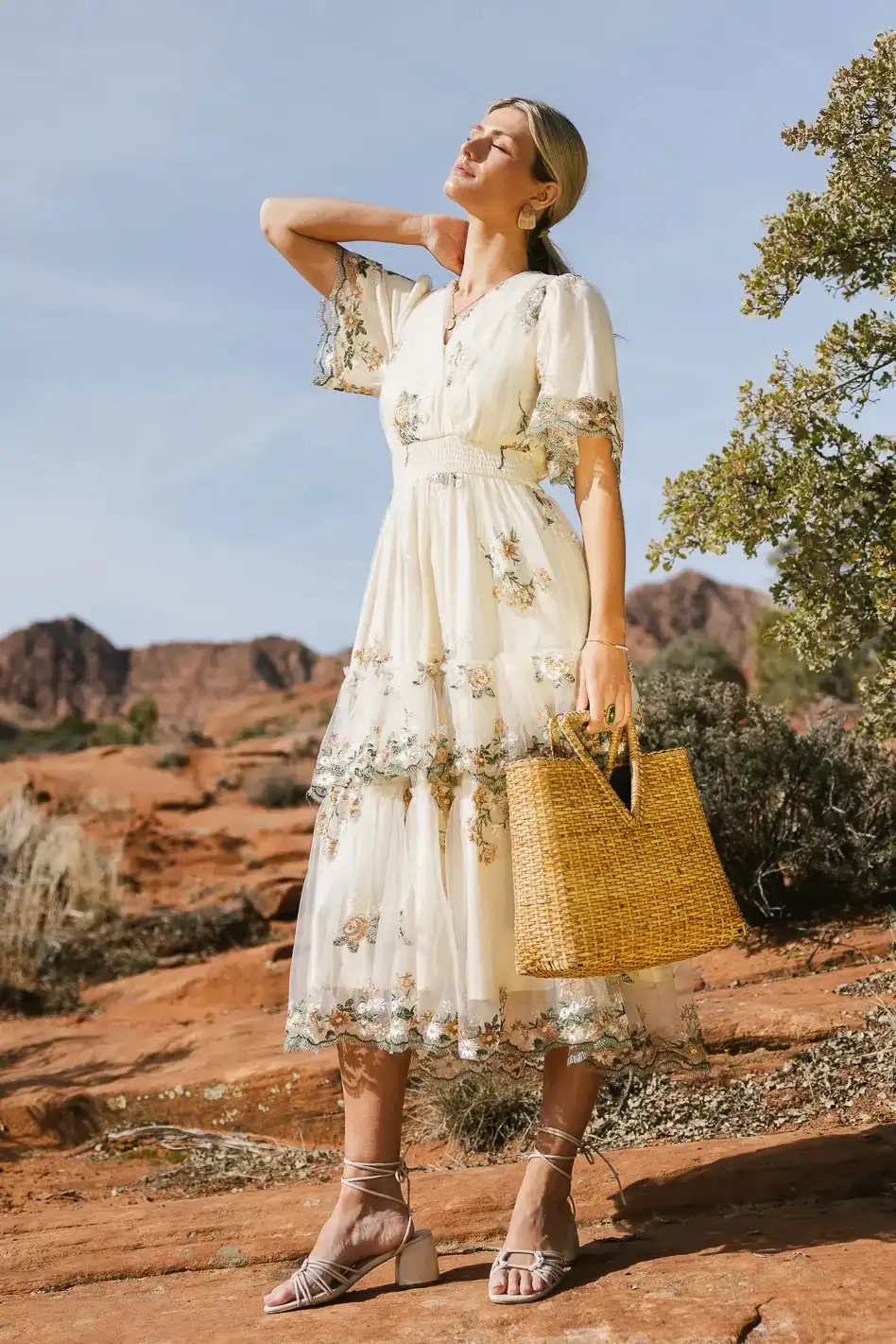 Image of Kelsey Embroidered Mesh Dress