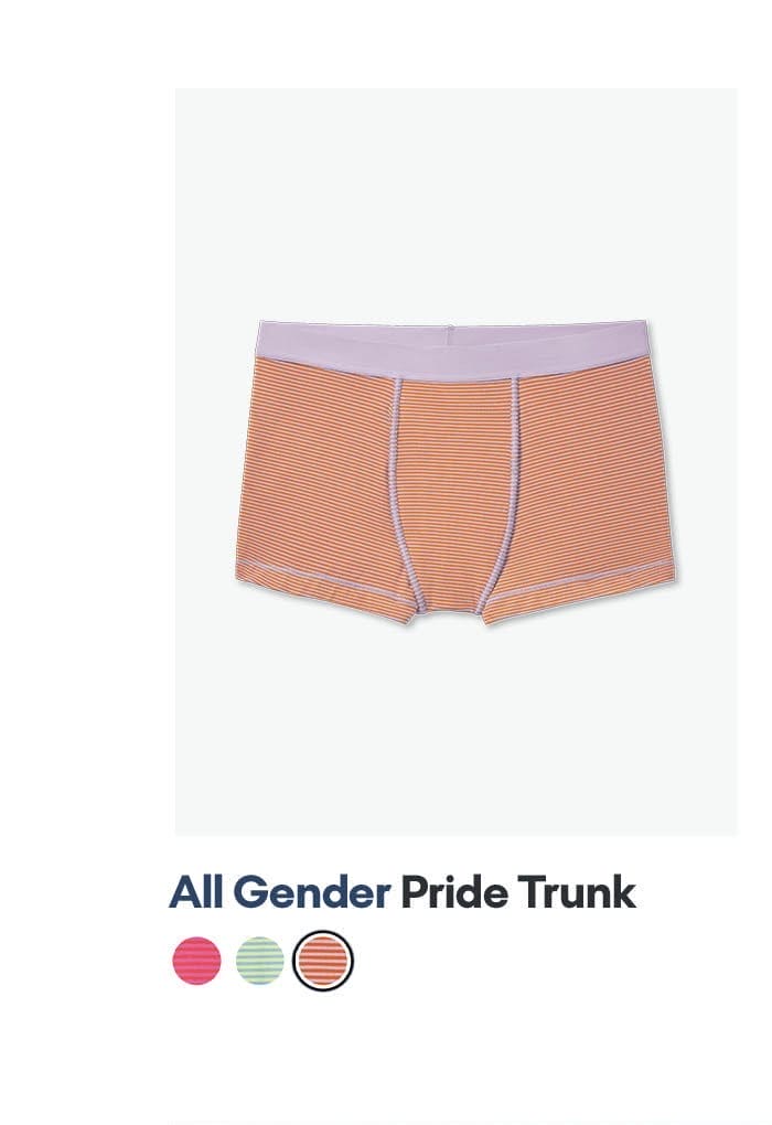 All Gender Pride Trunk