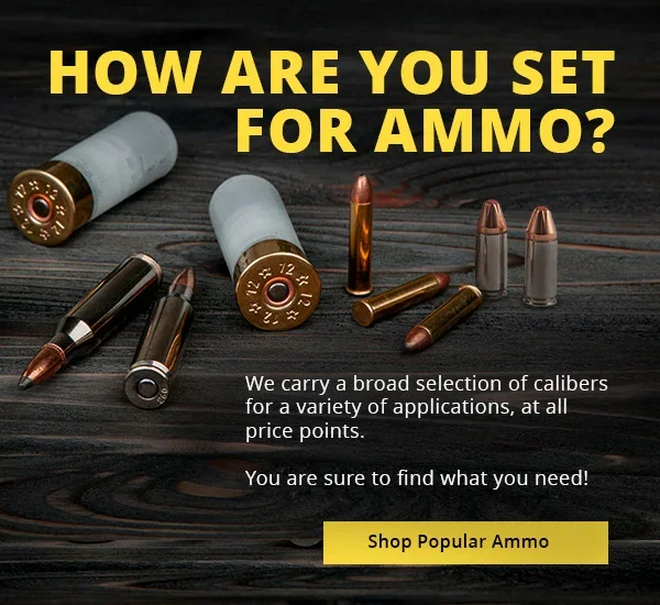 Popular Ammo